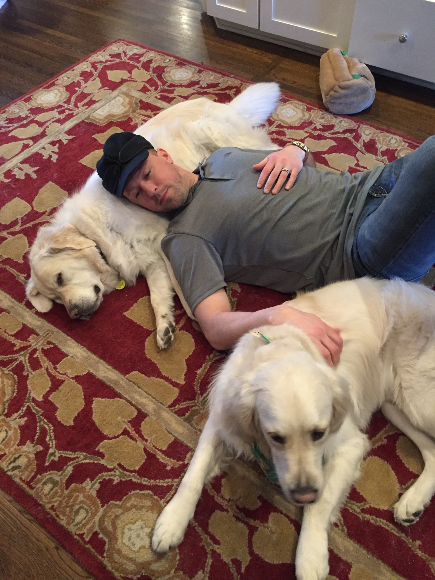 Adam with two English Golden Retrievers, Murphy and Gray, while visiting family in Ohio in 2017
